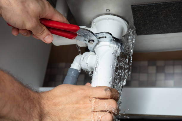 Best Professional water damage repair  in Santa Cruz, CA