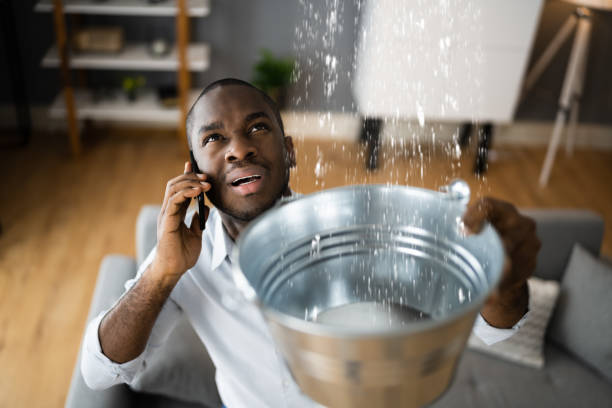 Best Water damage contractors near me  in Santa Cruz, CA
