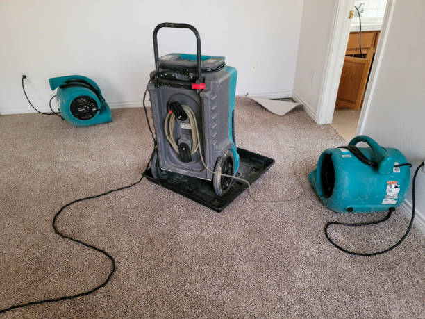 Best Flood restoration services  in Santa Cruz, CA
