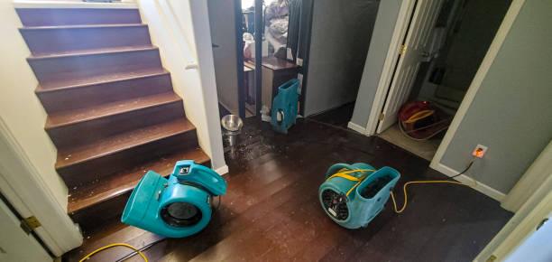 Best Sewage cleanup and water damage restoration  in Santa Cruz, CA