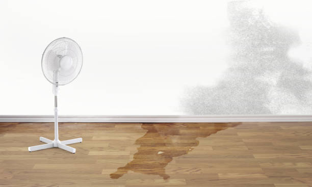 Santa Cruz, CA Water damage restoration Company