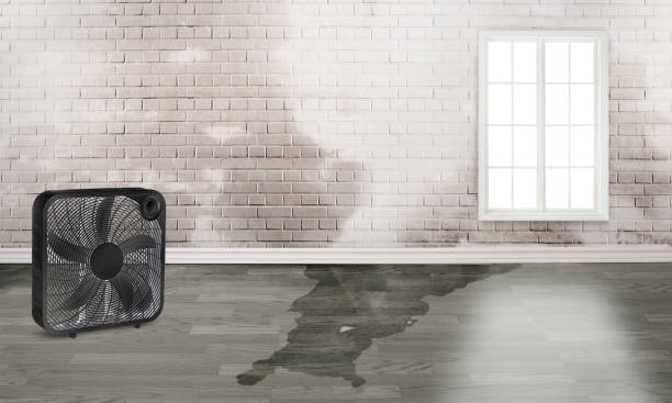 Best Residential water damage restoration  in Santa Cruz, CA