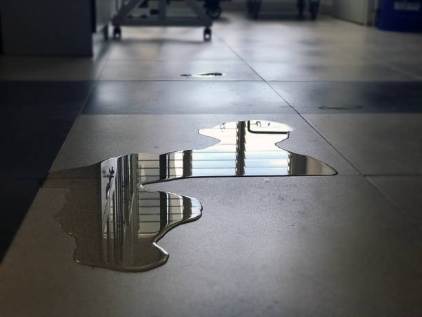 Best Water damage contractors near me  in Santa Cruz, CA