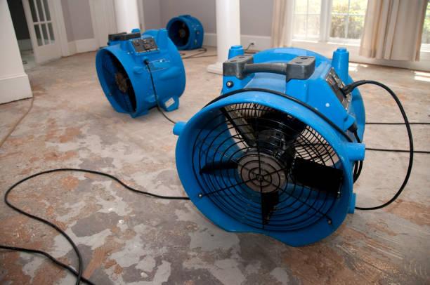 Best Carpet water damage restoration  in Santa Cruz, CA