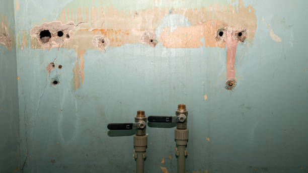 Best Residential water damage restoration  in Santa Cruz, CA