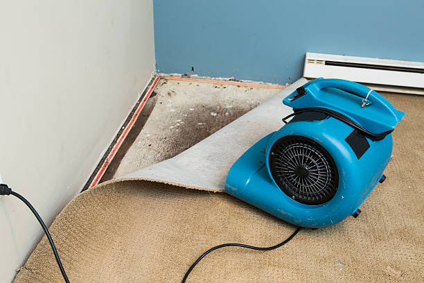 Water damage restoration insurance claims in Santa Cruz, CA